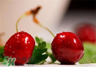 櫻桃和車?yán)遄佑惺裁磪^(qū)別？櫻桃和車?yán)遄幽膫€貴？