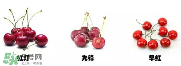 櫻桃和車?yán)遄佑惺裁磪^(qū)別？櫻桃和車?yán)遄幽膫€貴？