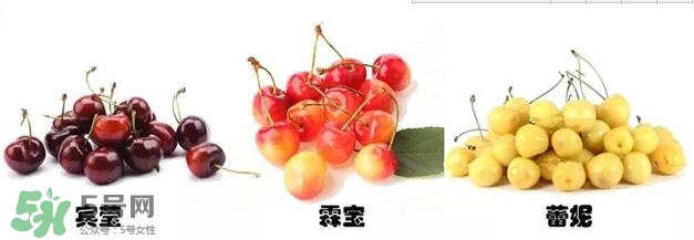 櫻桃和車?yán)遄佑惺裁磪^(qū)別？櫻桃和車?yán)遄幽膫€貴？