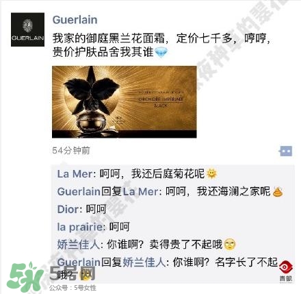 嬌蘭和嬌蘭佳人一樣嗎？嬌蘭和嬌蘭佳人什么聯(lián)系？