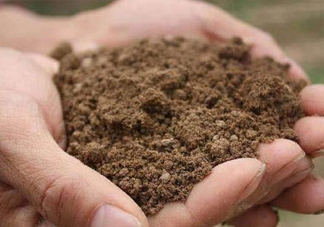 異食癖是什么?。慨愂绸痹趺粗?><p><strong>異食癖是什么?。慨愂绸痹趺粗?/strong></p></a></li> <li><a href=