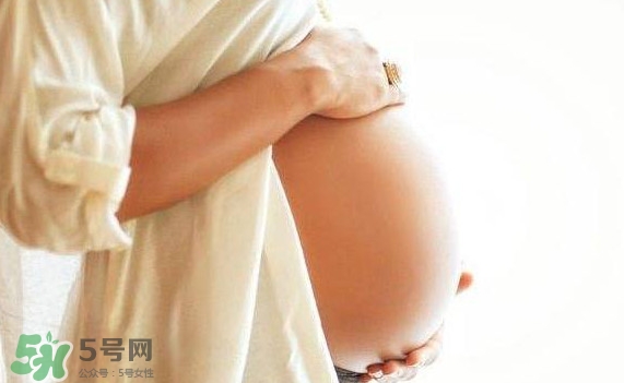 孕婦可以吃肉松蛋糕嗎？孕婦能吃肉松面包嗎