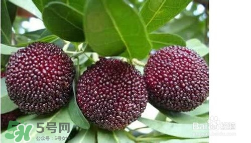 楊梅怎么吃好吃？楊梅怎么吃不酸？