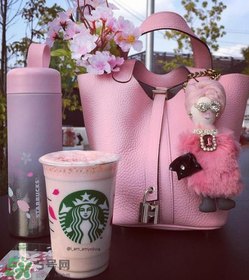 hermes菜籃子包正品多少錢？愛馬仕菜籃子包專柜價格