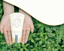 百雀羚三生花洗面奶多少錢？百雀羚三生花洗面奶價(jià)格