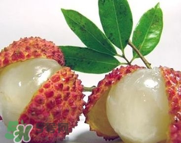 荔枝孕婦可以吃嗎？孕婦吃荔枝會(huì)流產(chǎn)嗎？