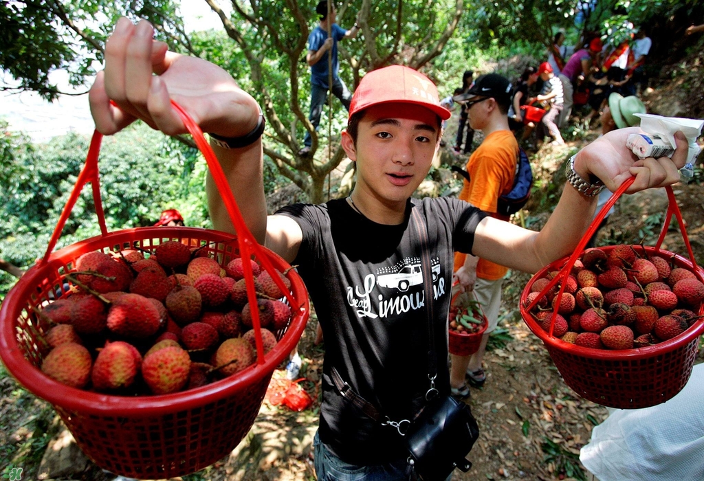 孕婦吃荔枝上火了怎么辦？孕婦吃荔枝對胎兒好嗎