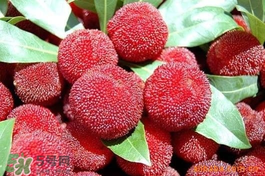 楊梅吃多了會(huì)上火嗎？楊梅吃多了會(huì)胖嗎？