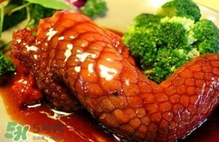 鱷魚肉是寒性的嗎？ 鱷魚肉是寒性還是溫性？