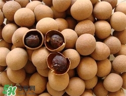 龍眼和桂圓哪個(gè)補(bǔ)血？龍眼和桂圓的功效