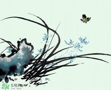 空谷幽蘭是什么書？空谷幽蘭講的是什么？