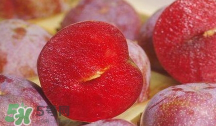 2017錢排三華李價(jià)格 三華李市場價(jià)格 2017錢排三華李價(jià)格 三華李市場價(jià)格