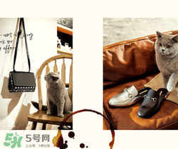 belle是什么牌子？百麗是哪個(gè)國家的品牌？