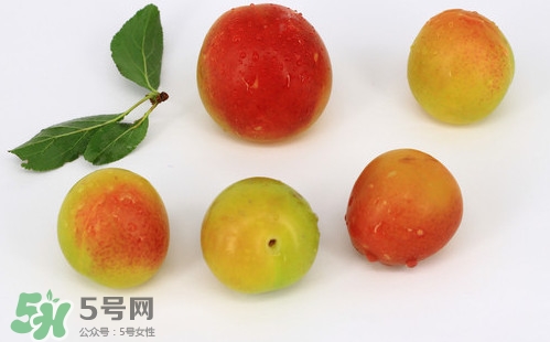 雙華李有什么營(yíng)養(yǎng)？雙華李的營(yíng)養(yǎng)價(jià)值