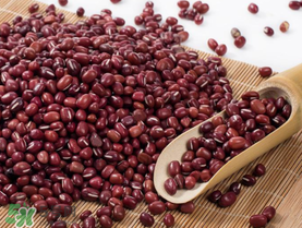 紅豆粽子孕婦可以吃嗎？孕婦可以吃紅豆粽子嗎？