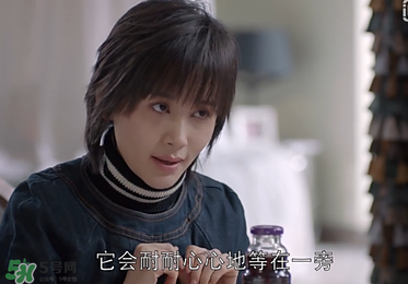 蒼蠅粉是什么意思？蒼蠅粉是什么東西？