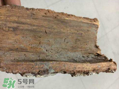 安哥拉樹皮的功效 安哥拉樹皮怎么用？