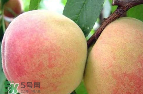 陽山水蜜桃?guī)自路萆鲜?？陽山水蜜桃上市時間