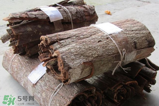 安哥拉樹皮有依賴性嗎？安哥拉樹皮有沒有依賴性？