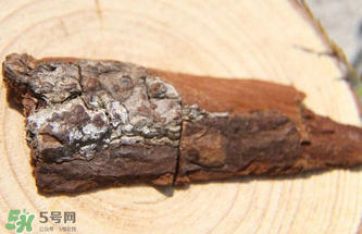 安哥拉樹皮有依賴性嗎？安哥拉樹皮有沒有依賴性？