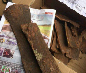 安哥拉樹皮能天天吃嗎？安哥拉樹皮天天吃可以嗎？