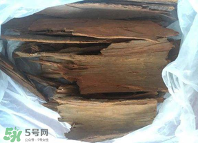 安哥拉樹皮能天天吃嗎？安哥拉樹皮天天吃可以嗎？