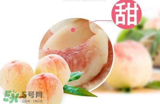 無錫水蜜桃多少錢一斤2017？無錫水蜜桃什么時候上市