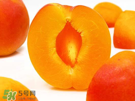 杏子幾月成熟？杏子什么時(shí)候成熟？