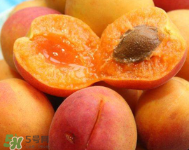 杏子幾月成熟？杏子什么時(shí)候成熟？