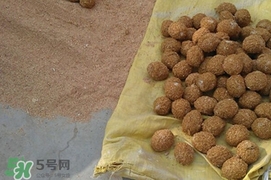 松花蛋是怎么做出來的？松花蛋的家庭腌制方法