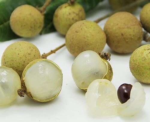 龍眼和桂圓是一種東西嗎？龍眼和桂圓的區(qū)別