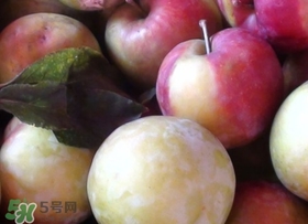 南華李什么時(shí)候成熟？南華李和三華李的區(qū)別