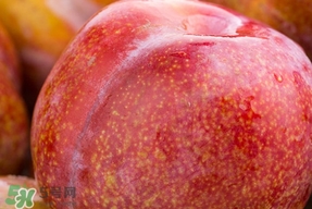 三華李種哪個品種好？三華李有多少個品種