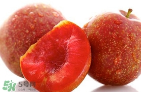 2017錢排三華李價(jià)格 三華李市場價(jià)格 2017錢排三華李價(jià)格 三華李市場價(jià)格