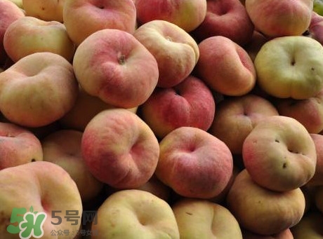 盤桃是蟠桃嗎？盤桃和蟠桃一樣嗎