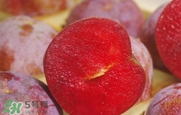 三華李可以和香蕉一起吃嗎？香蕉能和三華李一起吃嗎