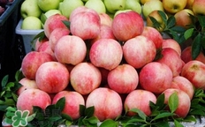 奉化水蜜桃什么時候上市？奉化水蜜桃上市時間