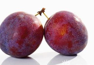 三華李可以放多久？三華李可以冷藏嗎？