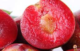 三華李可以用鹽泡嗎？三華李能用鹽水泡嗎