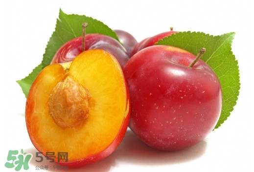 三華李可以放多久？三華李可以冷藏嗎？