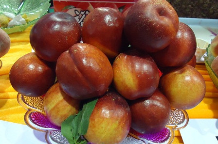 三華李可以用鹽泡嗎？三華李能用鹽水泡嗎