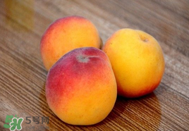 吃完杏子能喝牛奶嗎？杏子和牛奶能一起吃嗎？