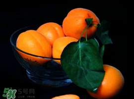 杏子可以和芒果一起吃嗎？吃完杏子可以吃芒果嗎？