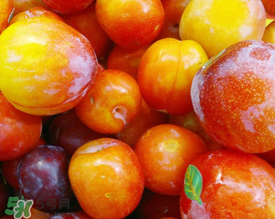 腌李子可以放多久？腌李子吃不完怎么處理？