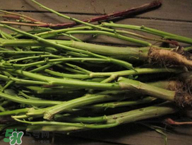 莧菜桿能吃嗎？莧菜桿子可以吃嗎？