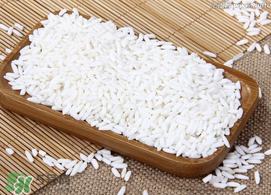 一斤糯米放多少曲酒？一斤糯米放幾克酒曲？