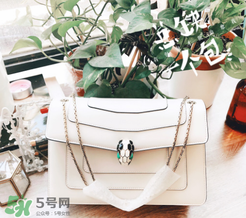 寶格麗蛇頭包有哪幾種尺寸？寶格麗蛇頭包尺寸介紹