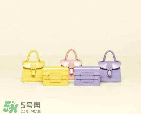 delvaux2017春夏系列包包款式有哪些_好看嗎？
