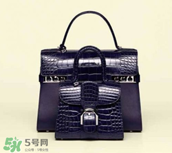 delvaux2017春夏系列包包款式有哪些_好看嗎？