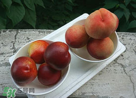 毛桃怎么保存？毛桃可以放冰箱？